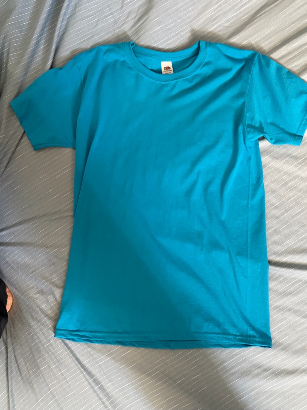 Fruit of the Loom Short Sleeve (Blue)